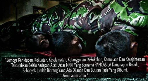 dedenew274